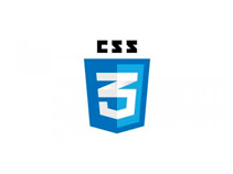 CSS logo